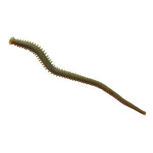 Písečný červ Berkley Gulp! Alive Nereis (15cm) - Camo - 1
