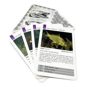 Karetní hra Kvarteto s kartami ryb - 1