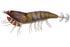 Nástraha kreveta Savage Gear 3D Hybrid Shrimp EGI jig Glitter 9,2cm 21g - Burnt Orange - 1/5