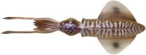 Oliheň SG 3D Swim Squid 1ks 25cm 86g - Cuttlefish UV - 1