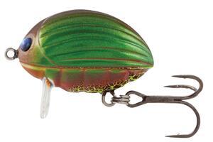 Wobler Salmo Lil’Bug 3,0cm F - Green Bug, GBG - 1