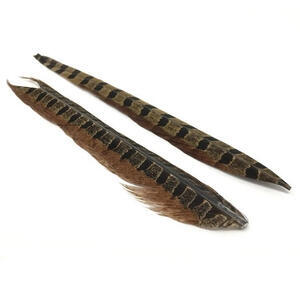 Bažantí ocas Pheasant Tail - přírodní - 1