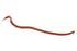 Žížaly Berkley Gulp! Earthworm 4" (10,0cm) - Natural - 2/2