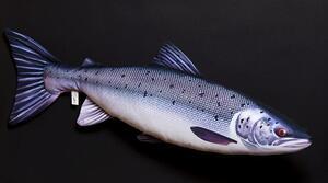 Polštář Losos - The Salmon 90cm - 2