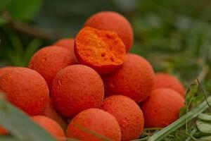 Boilies Starbaits Probiotic 1kg - Peach & Mango - 20mm - 2