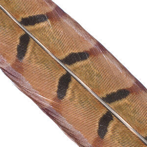 Bažantí ocas Pheasant Tail - přírodní - 2
