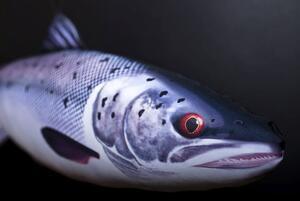 Polštář Losos - The Salmon 90cm - 3