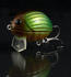 Wobler Salmo Lil’Bug 2,0cm F - Green Bug, GBG - 3/4