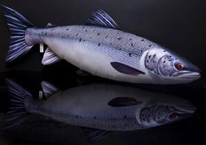Polštář Losos - The Salmon 90cm - 4