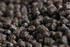 Pelety Mivardi Method pellets 750g - Black halibut - 4/6