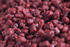 Pelety Mivardi Method pellets 750g - Cherry & fish protein - 4/6