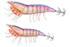 Nástraha kreveta Savage Gear 3D Hybrid Shrimp EGI jig Glitter 9,2cm 21g - Burnt Orange - 5/5
