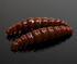 Larva Libra Lures 30mm sýr - Brown, 30BR