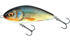 Wobler Salmo Fatso 10,0cm S - Real Roach, RER