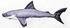 Polštář Žralok - The Shark 120cm