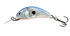 Wobler Salmo Hornet 3,5cm F - Silver Blue Shad, SBS